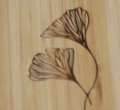 Motif 5 (Fleurs)